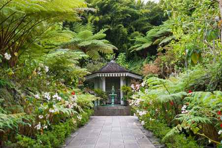 Creole architecture; garden with a fountain; gazebo; Maison Folio; tropical vegetation with Tree Ferns (Cyatheales); Cirque de Salazie; Hell-Bourg; Reunion