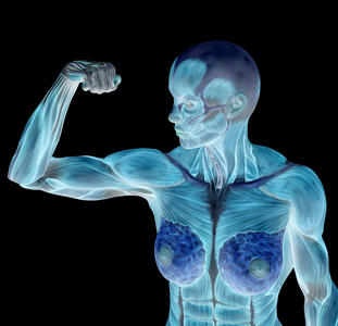 Synthesis image: Speats. Anatomy of a female muscular body symbol of bodybuilding and bodybuilding 