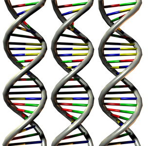 Summary image: structure of double helix DNA molecule (deoxyribonucleic acid or DNA). 