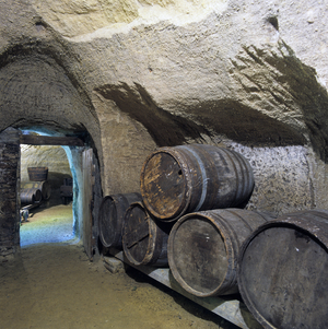 Rochemenier Departement Maine Loire France cave dwelling (troglodyte) dug in shelly limestone now museum wine cellar winery gave the main income of the inhabitants of the caves