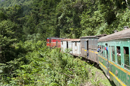 Vintage train traveling through jungle; Fianarantsoa-Cote Est Railway or FCE; Sahambavy; Madagascar; Africa