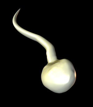 Summary image: a sperm 