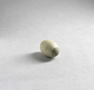 Egg decorated with micrographic text from the Song of Songs (eggshell with handwritten ink text) (see also 329322 & 24)