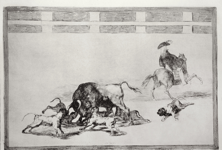 They loose dogs on the bull, plate 25 of 'The Art of Bullfighting', pub. 1816 (etching)
