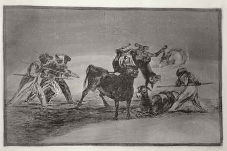 The Moors use donkeys as a barrier to defend themselves against the bull, whose horns have been tipped with balls, plate 17 of 'The Art of Bullfighting', pub. 1816 (etching)