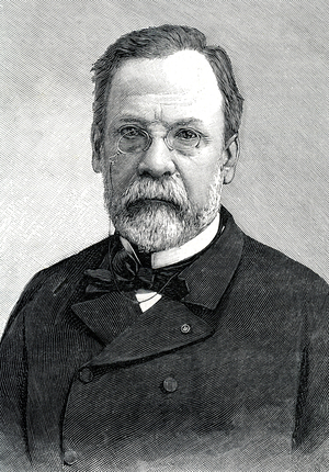 Portrait of Louis Pasteur (1822-1895) Engraving Private Collection
