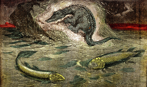 Transition from fish to reptiles: Proteosaur (top) reptile from fish, period of coal. The Holoptychius at the bottom left, and L'Osteolepis at the right. 1885. Natural Creation & Living Beings. Drawing A. Demarle