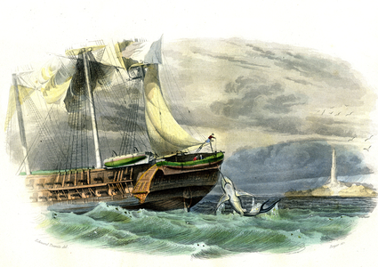 Shark fishing, 1857 (engraving)