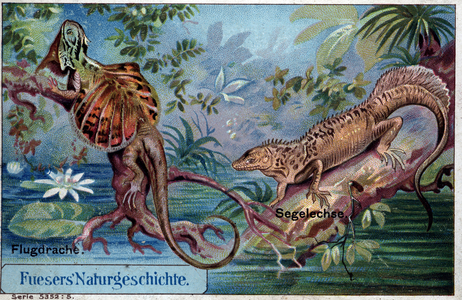 Draco and Hydrosaurus (for the coffee brand Fuesers (chromo)