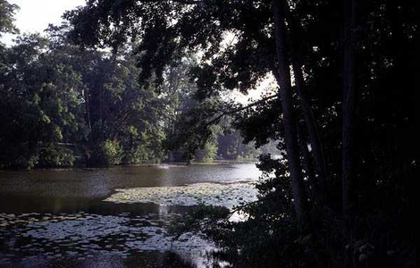 The Eleven-Acre Lake, in late afternoon (photo)