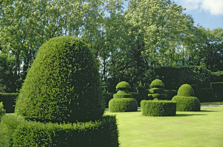 Topiary garden, designed by Sir Edwin Lutyens (1869-1944) (photo)