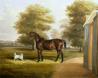 A Bay Horse with a Terrier, 1845 (oil on canvas)