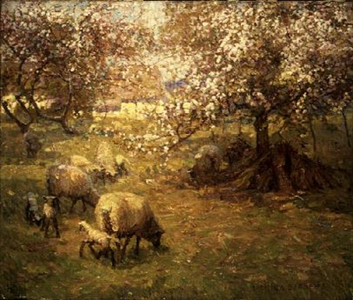 Blossom Time, 1908