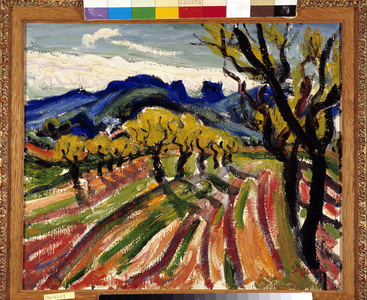 Field of olive trees in the Alpilles (oil on canvas)