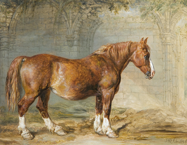 Suffolk Punch (oil on canvas)