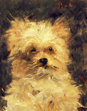 Head of a Dog - "Bob", 1876