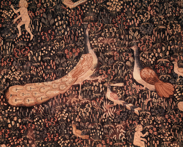 The curtain of the Seigneuriale Life: detail depicting birds, peacock, c.1520 (wool and silk tapestry)