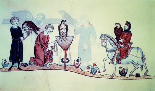 Frederic II (1194-1250) German emperor in 1212. Miniature comes from a 13th century falconry., 13th century (miniature)