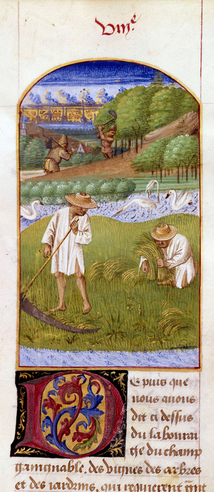The Miniature Harvest from "The Rustican or Book of Country and Rural Profit", 1459-1470 (engraving)