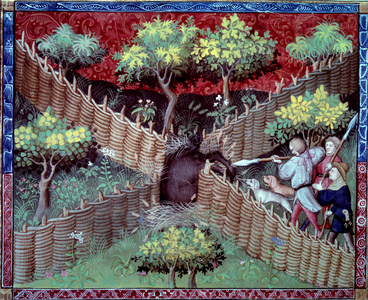 The miniature wild boar hunt taken from 'The book of hunting' by Gaston III Phoebus, Count of Foix, Lord of Bearn, 1387-88 (miniature)