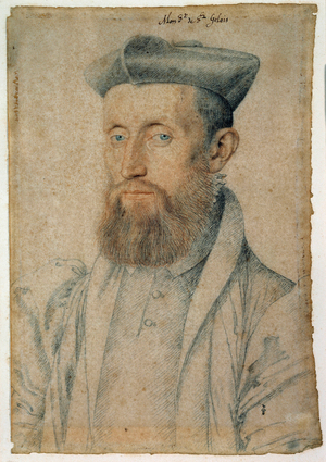 Portrait of Mellin de Saint-Gelais (1495-1558), c.1500 (sanguine)