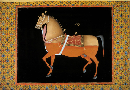 Moghol art: representation of a stallion, 18th century (gouache)