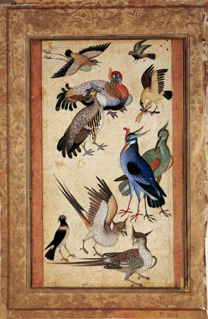 Ten birds, 1590 (gouache)