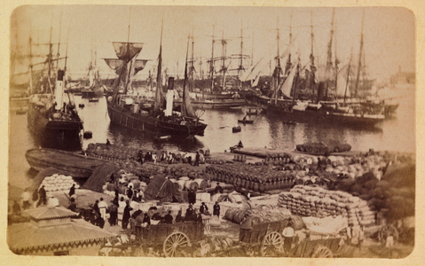 The city of Marseille and its surroundings around 1885 -1890: Bassin de la Joliette, cargo boarding on cats, 1885 (photo)