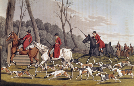 Hunting: 'The fox hunt', 19th century (litho)