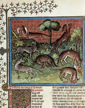 We motto the wolf and all its nature. Miniature from Gaston Phoebus (1331-1391) dit Gaston III Comte De Foix, 1456 (miniature)