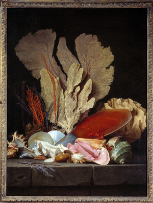 Sea Panaches Still Life with Shells, 1769 (oil on canvas)