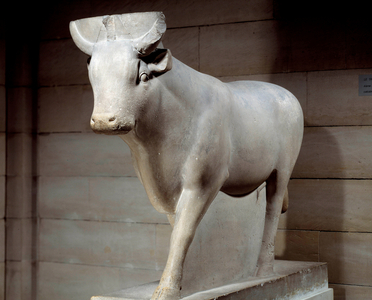 Egyptian antiquite: Apis bull in limestone from the Serapeum of Memphis, 664-332 BC (limestone)