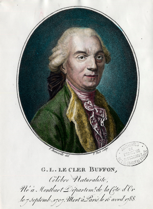 Portrait of George Louis Le Clerc, Count of Buffon (1707-1788), 18th century (engraving)