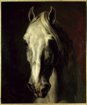 White Horse's Head, 19th century (painting)