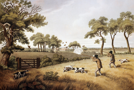 Partridge hunting scene: 19th century (litho)