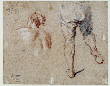 Study of anatomy, 18th century (oil on paper)
