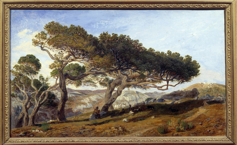 Pines In The Countryside Of AIX En Provence Maquis Landscape In The South Of France, 19th century (oil on canvas)