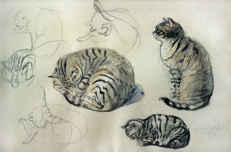 Studies of a cat, 1971 (pencil and watercolour)