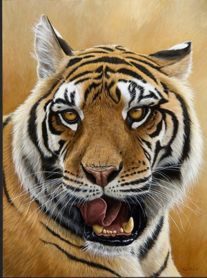 Next - Tiger, 2007 (acrylic on board)