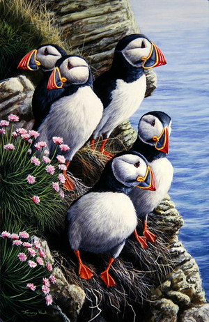 Puffins, 1997 (acrylic on board)