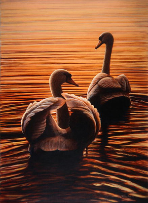 Twilight Swans, 1995 (acrylic on board)