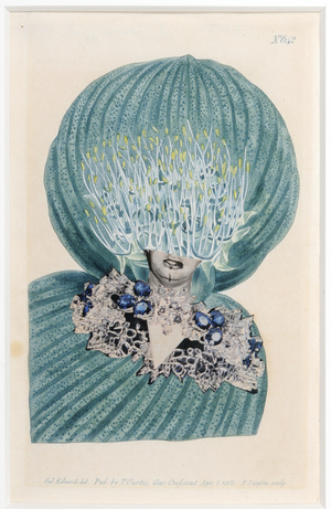 Miss Pumkin, 1972 (collage)