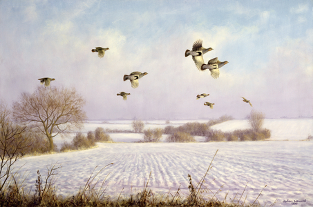 First Fall of Snow, Grey Partridges, 1999 (oil on canvas)