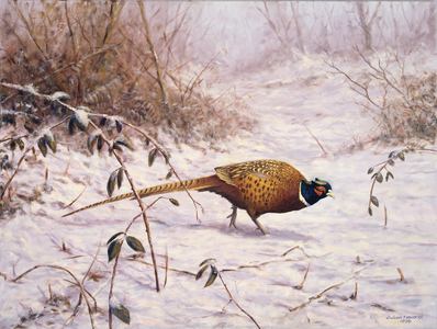 Pheasant in the Snow, 1998 (oil on canvas)