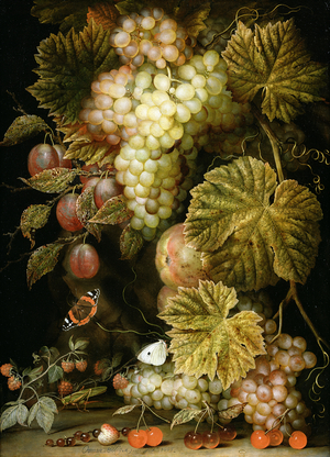 Still life of grapes and vines, 1666 (oil on canvas)
