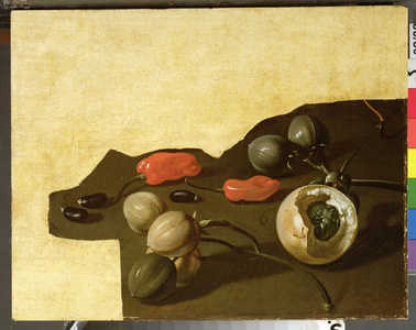 Study of Surinam fruit and spices (oil on paper)