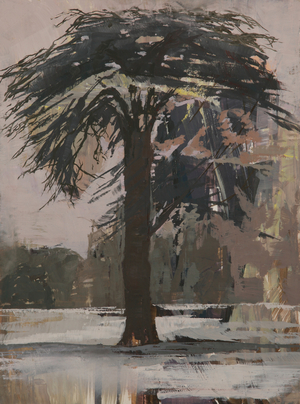 Cedar of Lebanon, 2010 (oil on board)