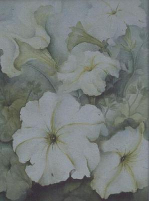 Petunias, white magic