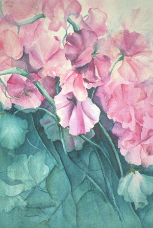 Sweet Peas, Pink Pride (vertical)