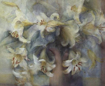 Olivia Lilies